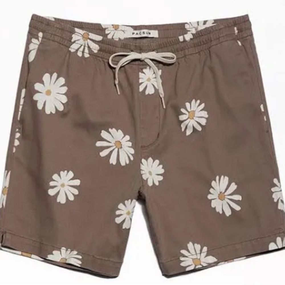 PacSun Men’s Brown Flower Shorts